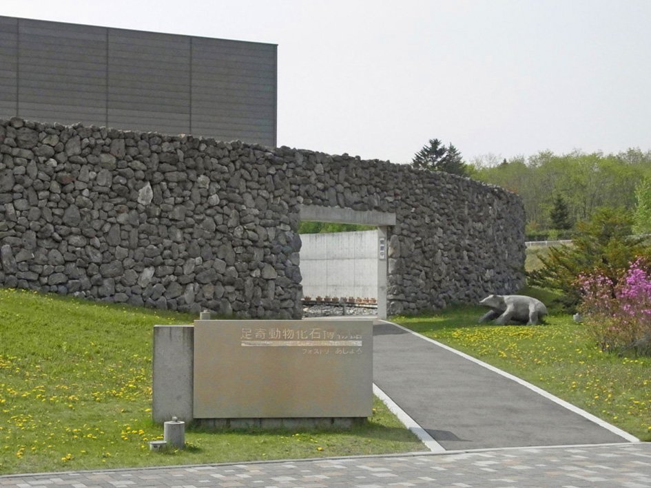 🏛️ 아쇼로 동물 화석 박물관(아쇼로 도부쓰카세키 하쿠부쓰칸) 이미지 6